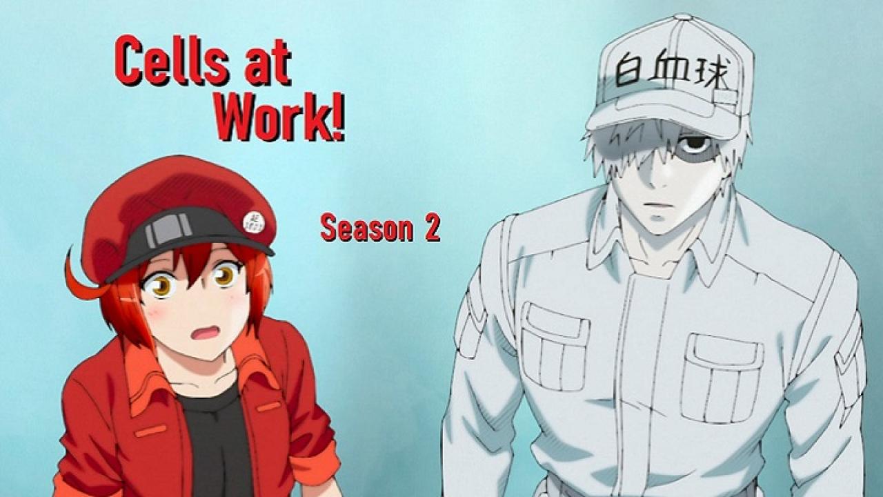 انمي Hataraku Saibou الموسم الثاني الحلقة 1 الاولي مترجمة