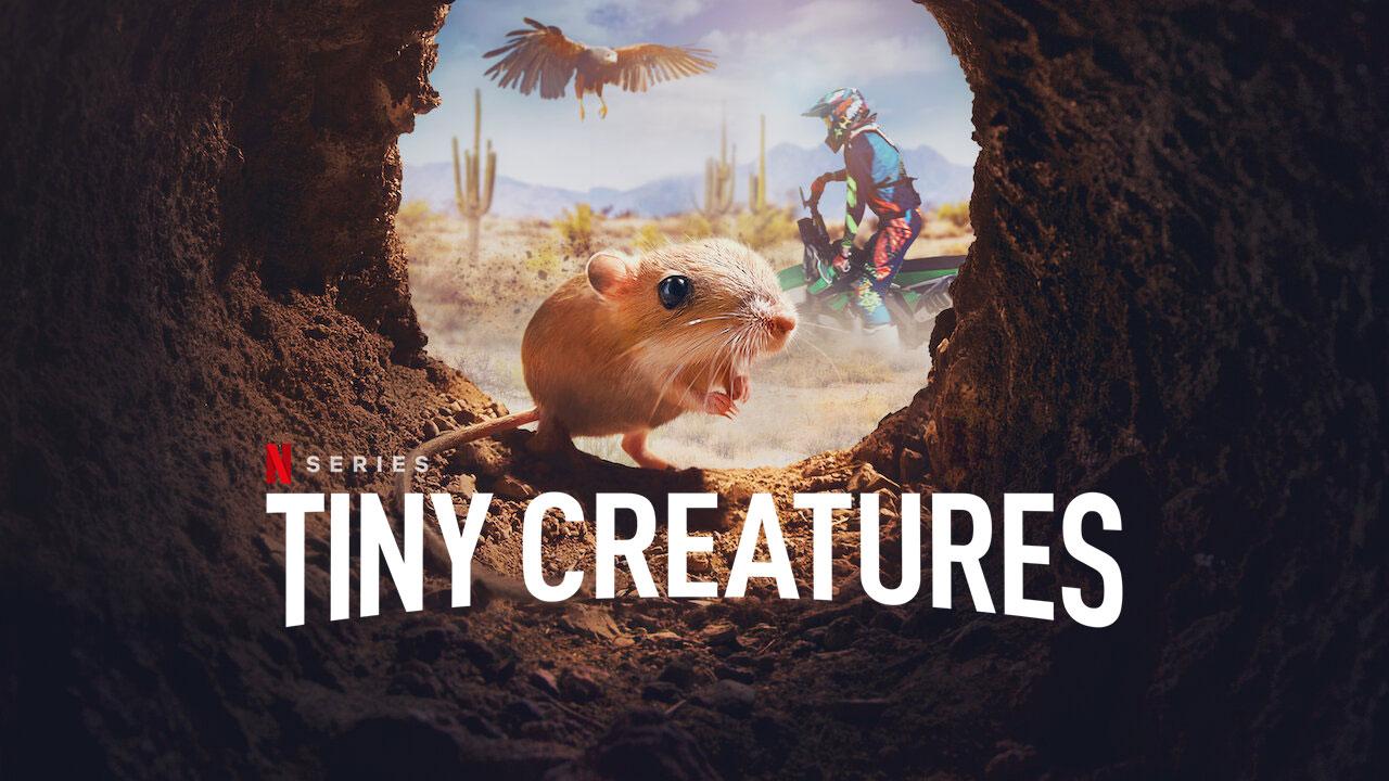 مسلسل Tiny Creatures